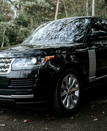 rang rove pure black shine