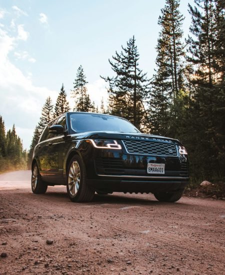 rang rover black in jungle